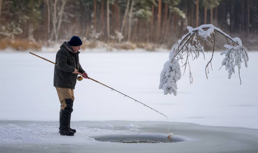 Techniques de pêche à la carpe en hiver : comment maximiser vos chances