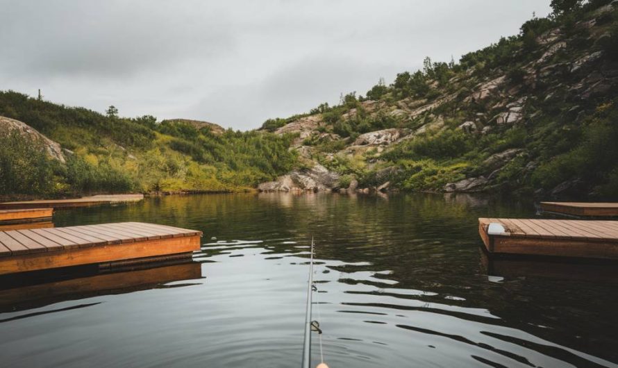 Les meilleurs spots de pêche à la carpe en Isère : découvrez les lieux incontournables