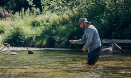 La pêche à la carpe en été : astuces pour affronter la chaleur et maximiser vos prises