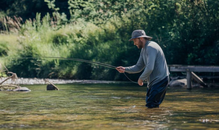 La pêche à la carpe en été : astuces pour affronter la chaleur et maximiser vos prises