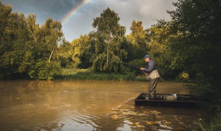 Les meilleures stratégies pour pêcher la carpe après une grosse pluie