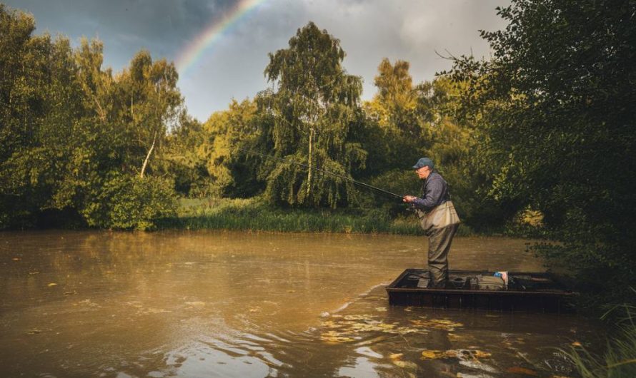 Les meilleures stratégies pour pêcher la carpe après une grosse pluie