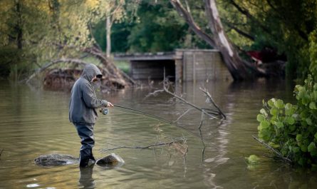Pêcher la carpe après une forte montée des eaux : adaptation et techniques gagnantes