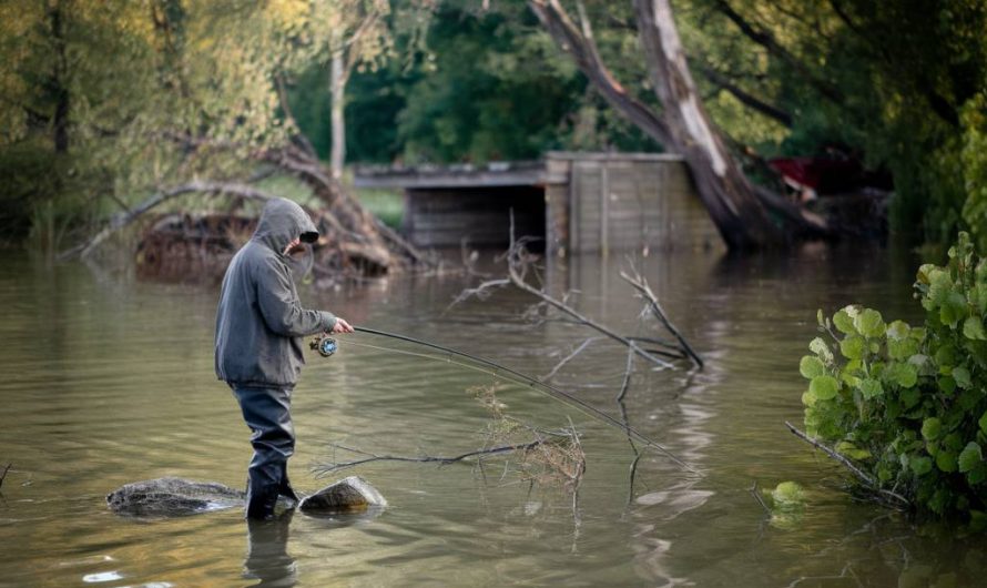 Pêcher la carpe après une forte montée des eaux : adaptation et techniques gagnantes